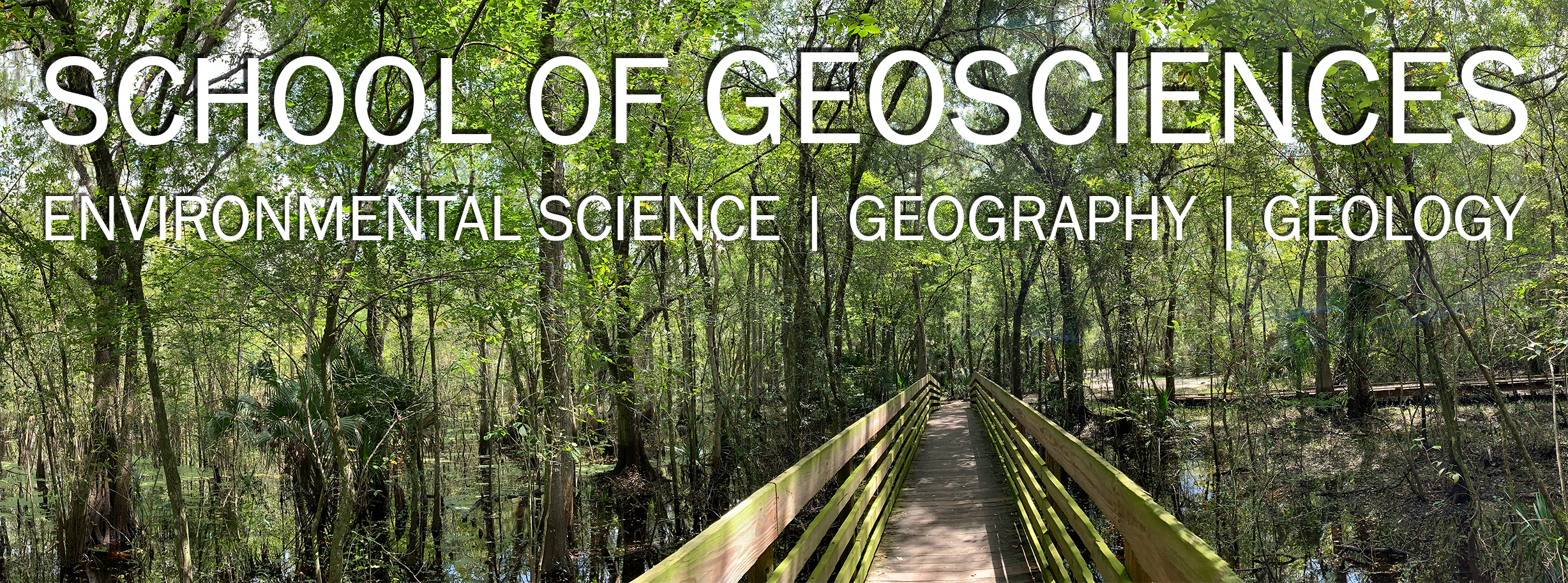 USF School of Geosciences Title featuring Lettuce Lake Park