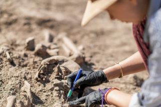 archaeologist digging in dirt