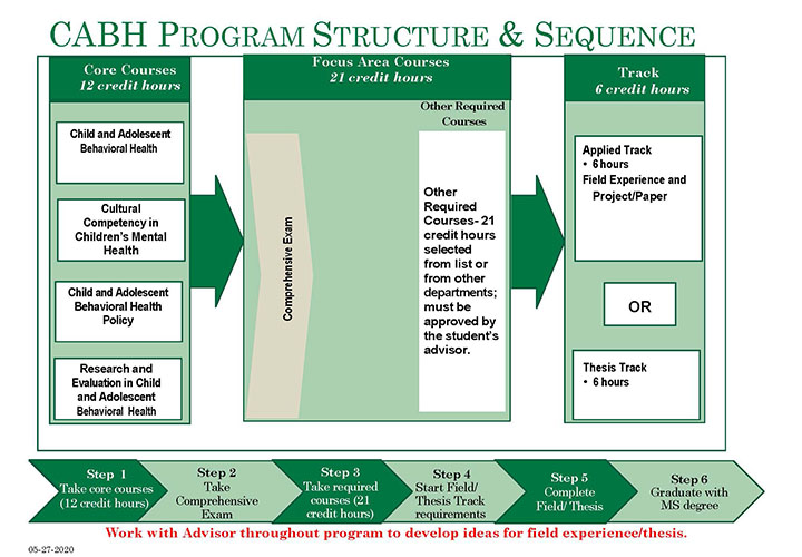 CABH Program Structure