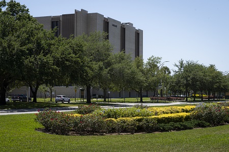 USF Library