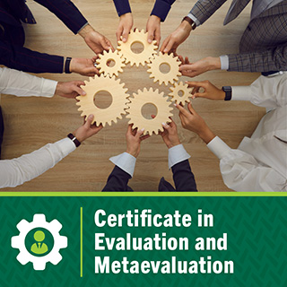 Certificate in Evaluation and Metaevaluation