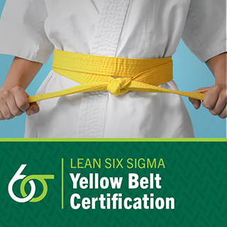 USF Lean Six Sigma Yellow Belt Certification