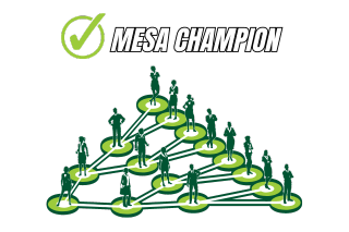 graphic with text reading "MESA Champion"