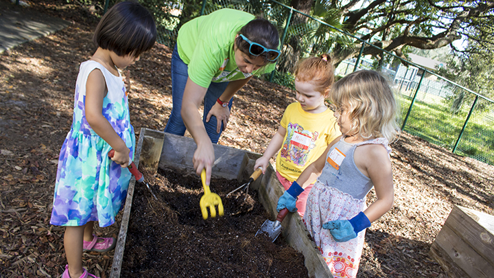 USF Preschool for Creative Learning students work with volunteer for gardening project