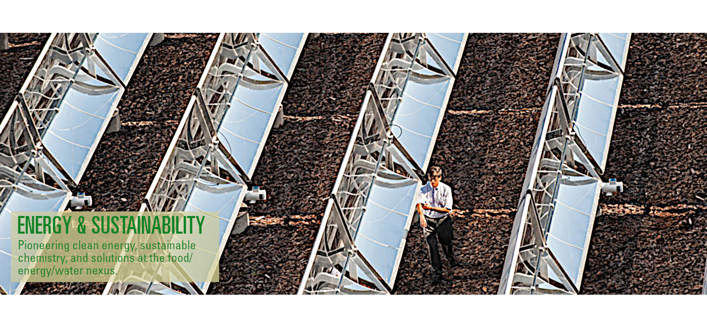 Image of USF solar panels with Dr. Yogi Goswami