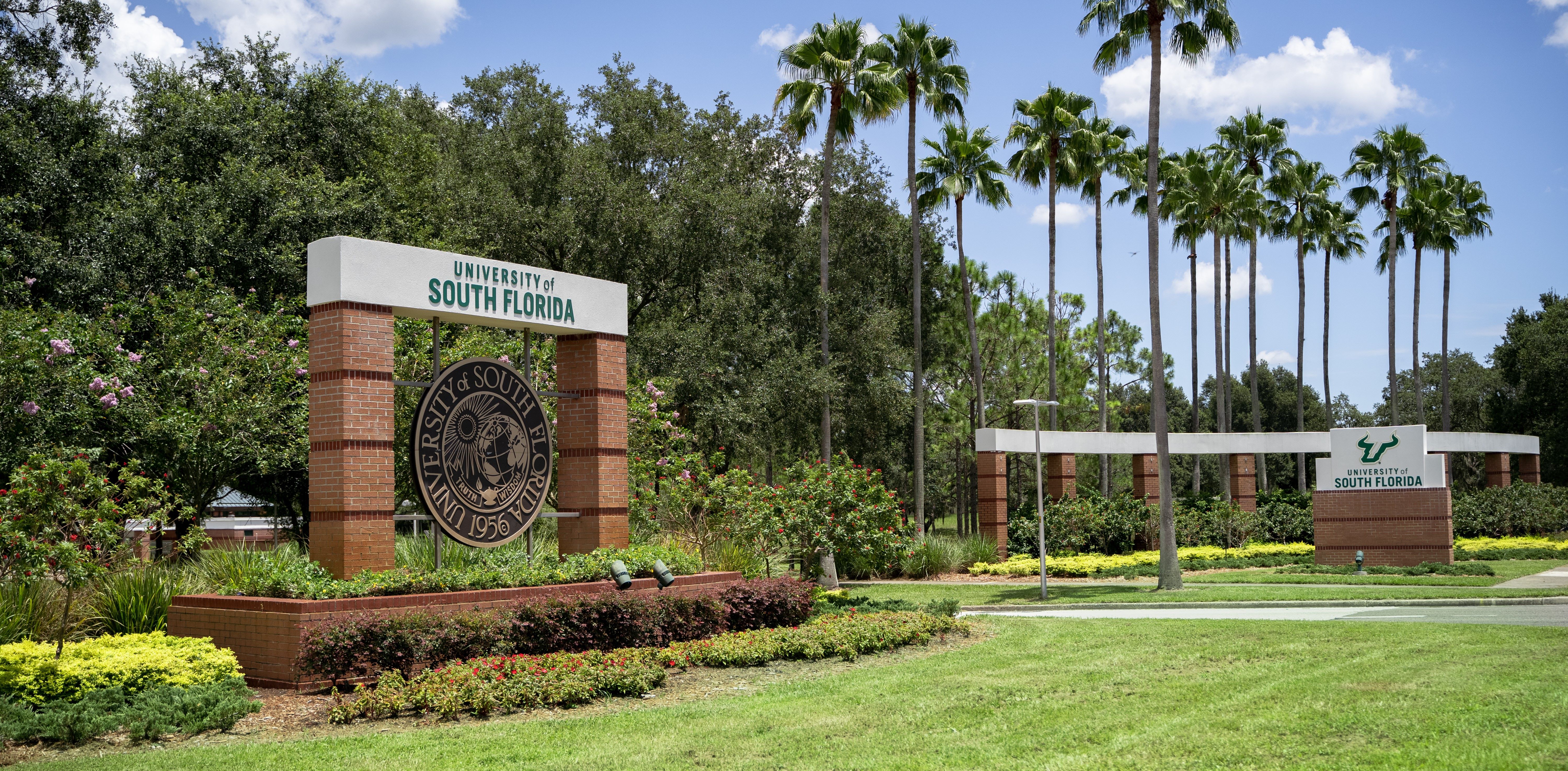 Picture of the USF entrance in daytime