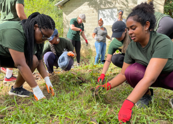 Judy Gensahft Honors College students work on sustainability projects in the Dominican Republic