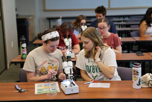 Two students work in front of a microscope as part of a marine lab at the 2024 USF Climate Teach-In.