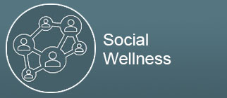 Social Wellness button with network icon