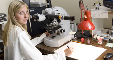 Information Technology