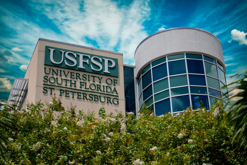 usf st pete campus