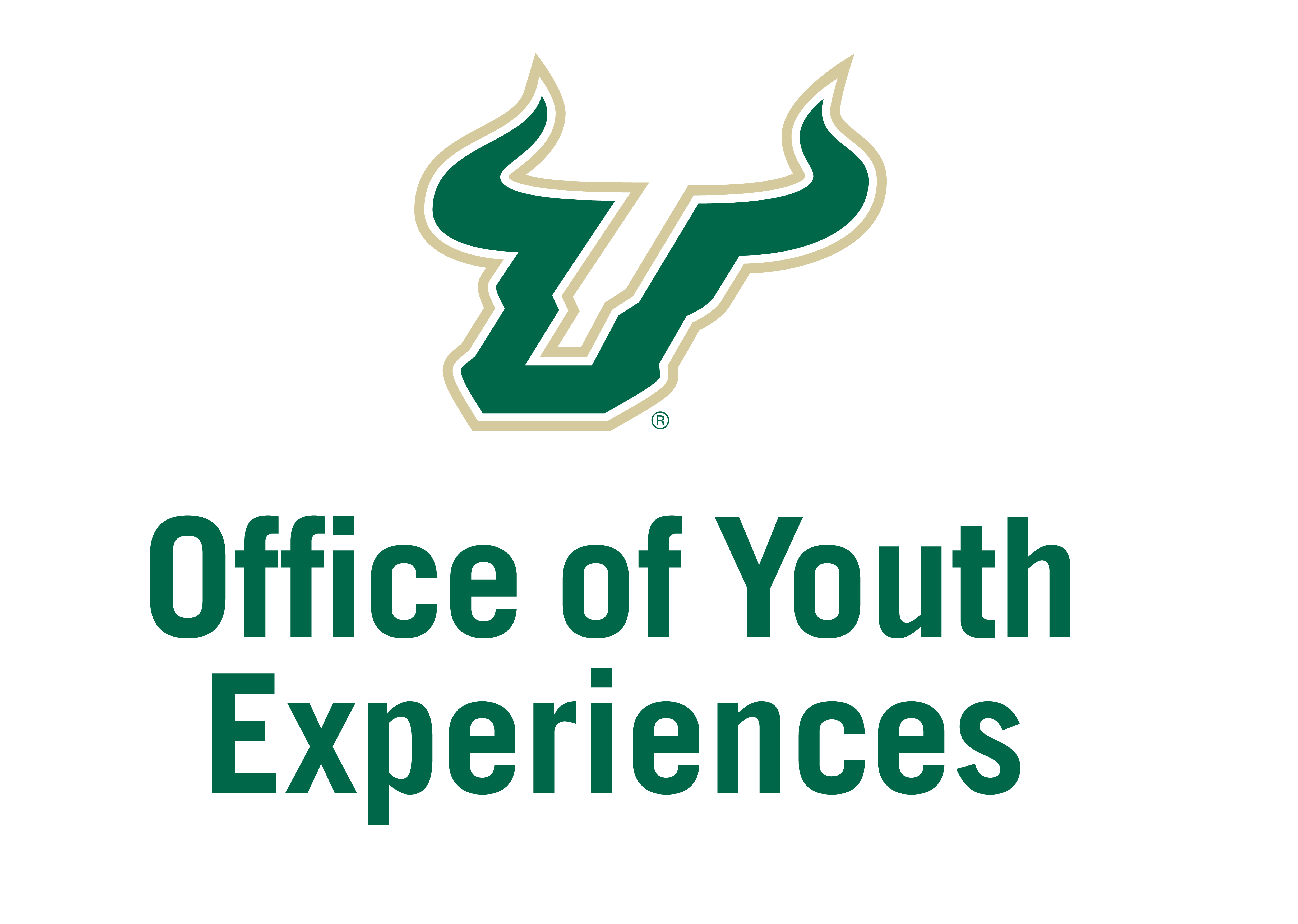 usf youth experiences logo