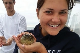 Emily Chancellor, MS ’15, examines a burr fish on a class research trip in Tampa Bay.