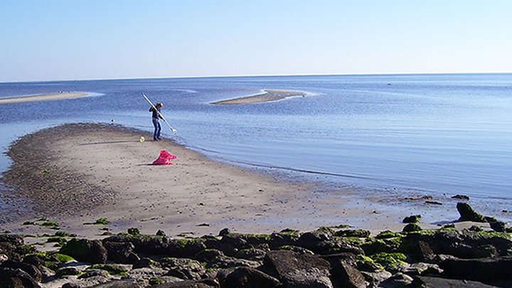 Asja Korakj conducts water research at Wakulla Beach, FL.