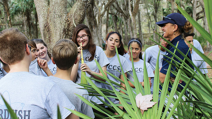 Monica Steele cautiously samples the edible portion of a saw palmetto frond.  