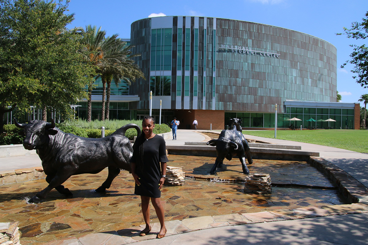 USF CMS diversity Equity and Inclusion