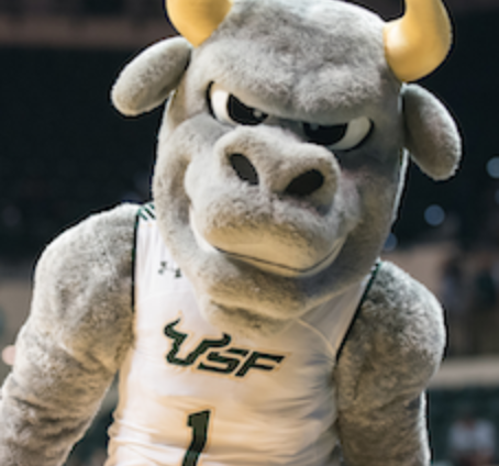 Rocky D. Bull, USF Official Mascot