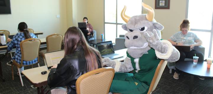Rocky studying with students