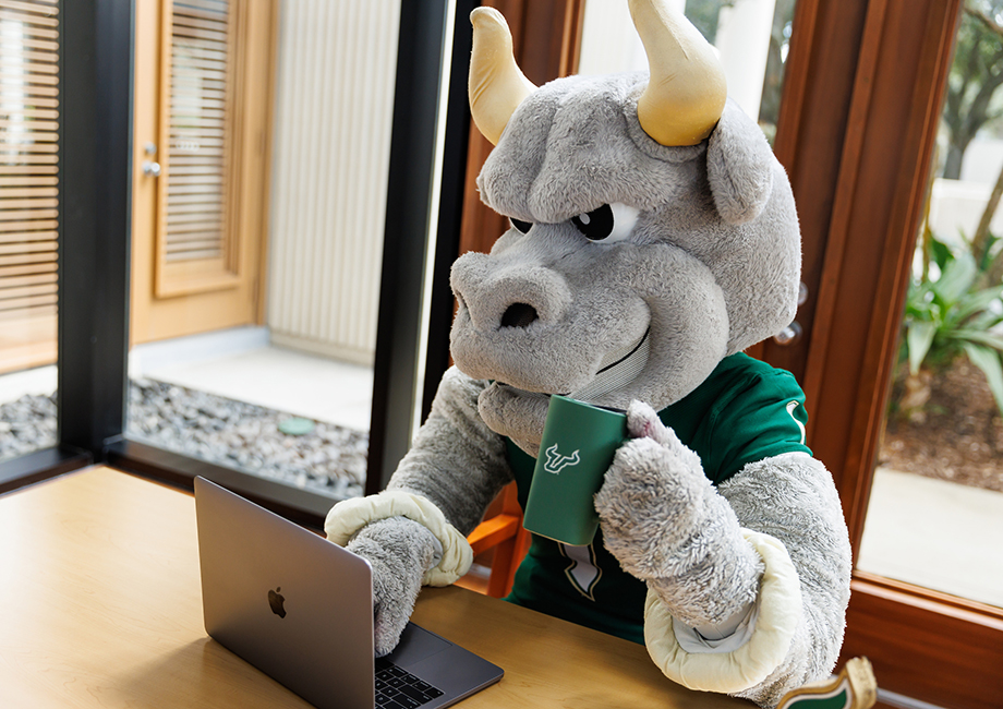 Rocky the Bull sitting at a desk drinking coffee, looking at a laptop