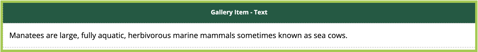 Editing view of Gallery Item - Text Snippet.