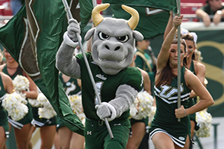 Rocky running with flag at USF Football game