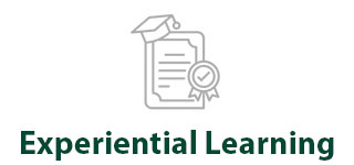 Experiential Learning