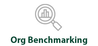 Organization Benchmarking