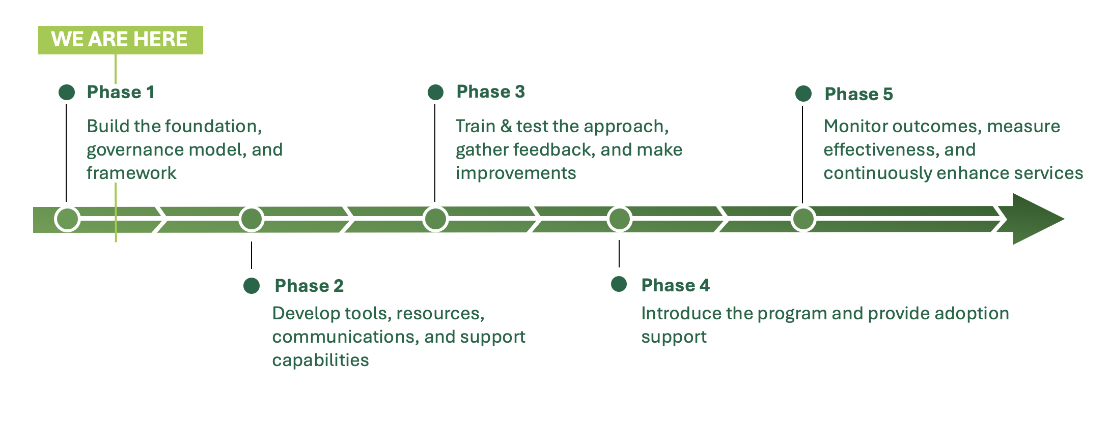 Five phase timeline. All phases are described in the text below.