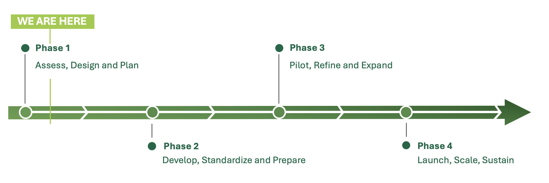 Four phase timeline. All phases are described in the text below.