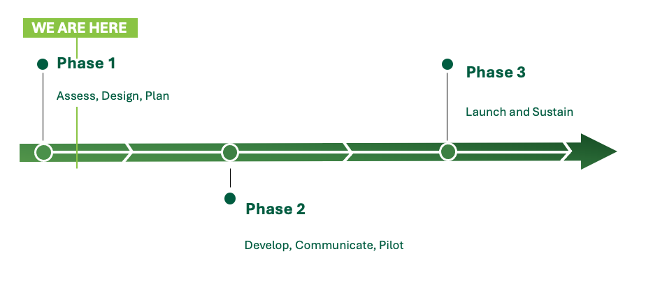 Three phase timeline. Phases are described in the text below.