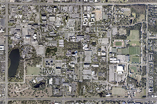 USF Aerial Map