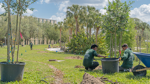 Two landscapers sit next to a potted tree looking out onto Castor Beach.