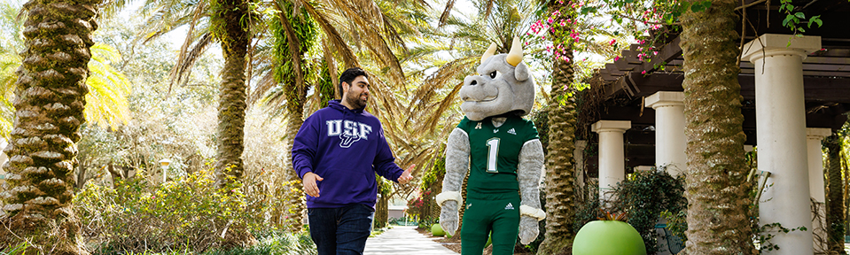 One student and Rocky D. Bull mascot walking through USF's Tampa campus.