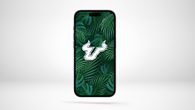 a mobile phone with the Bull U palms wallpaper