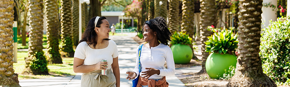 Two USF students stroll along a scenic path surrounded by palm trees on campus.