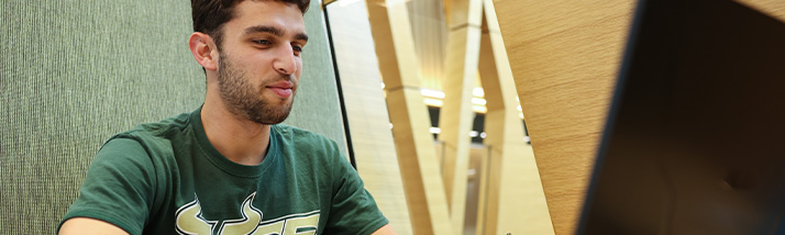 A USF student working on his laptop in the Honors college building.