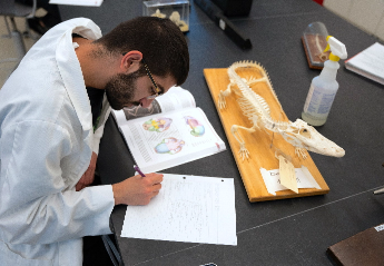 A student wearing a lab coat taking notes with an open textbook and a skeleton of an alligator on the table.