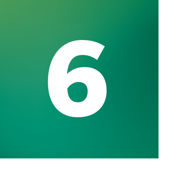 Number 6 on a green background