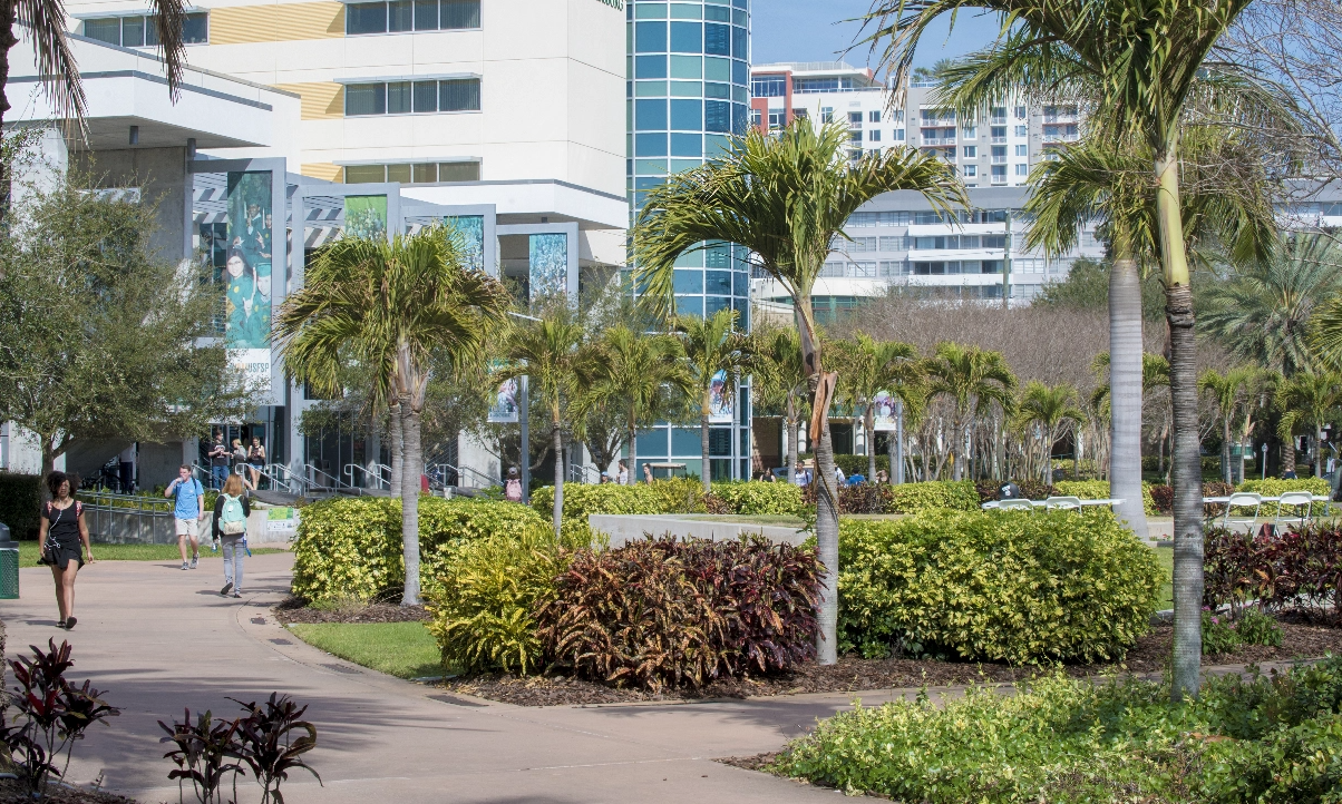 USF's beautiful St. Petersburg campus.