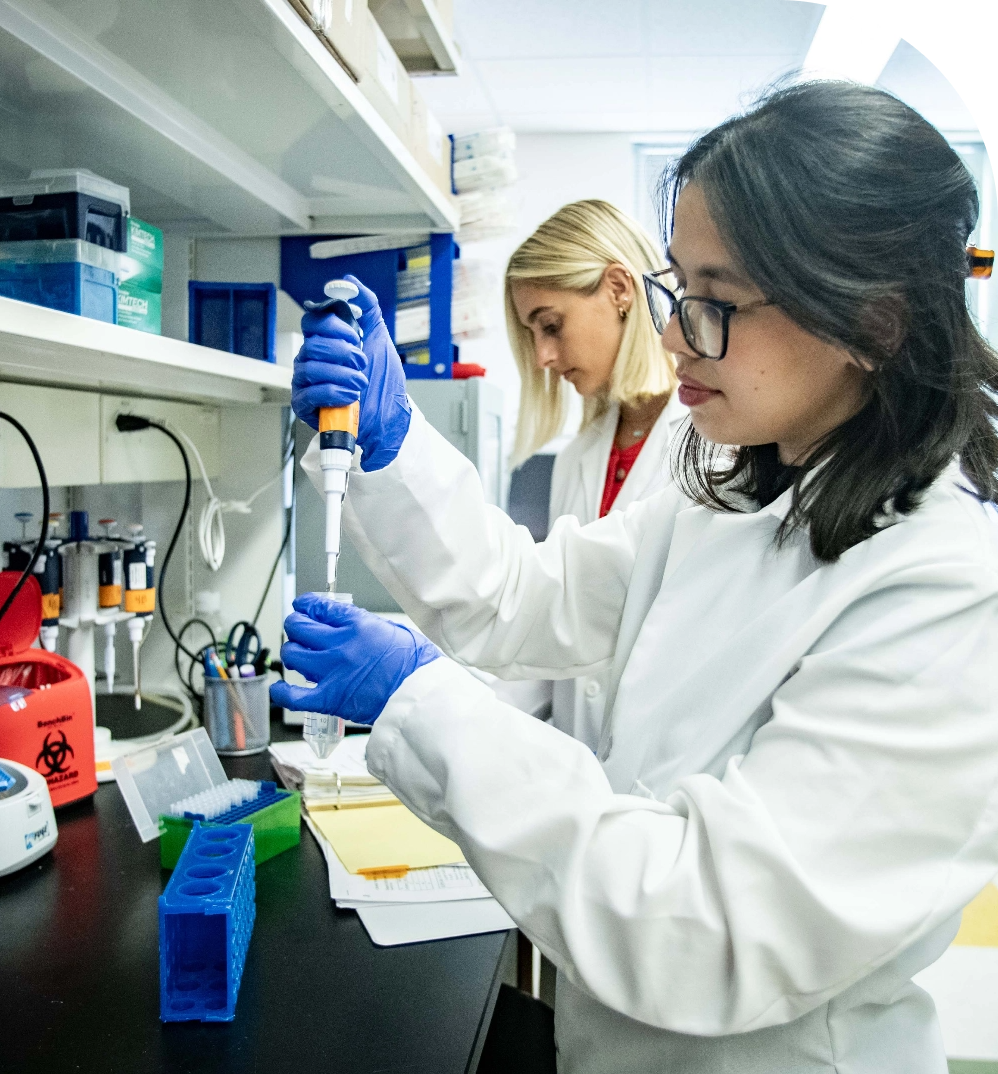 USF researchers working together in a laboratory.