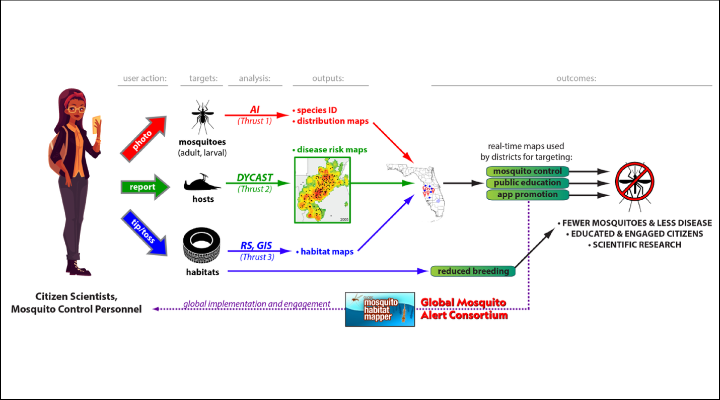 Model based on Convolutional Neural Networks