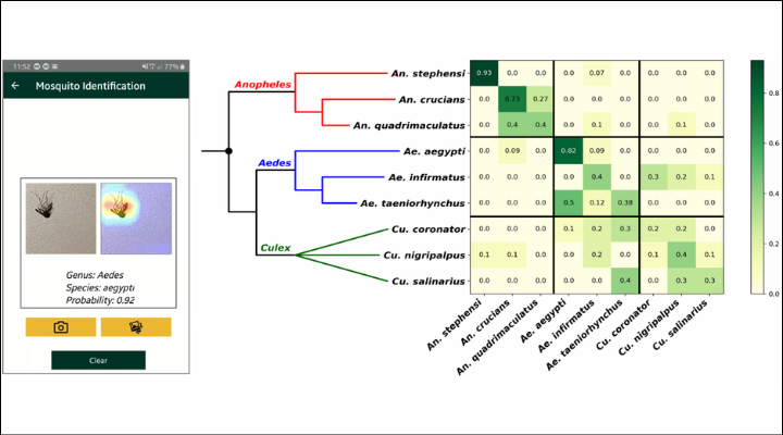 Model based on Convolutional Neural Networks