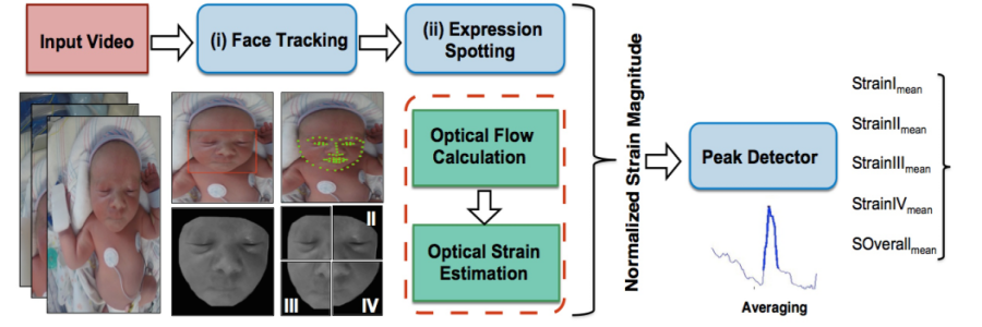 A series of images show a process for tracking facial expressions in infants, including steps for input video, face tracking, and optical flow calculation, culminating in a peak detector for strain magnitude analysis. Key visual elements include labeled stages and example images of a baby's face, highlighting the methodology of expression spotting.