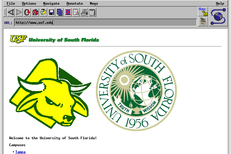 University of South Florida: A Preeminent Research University