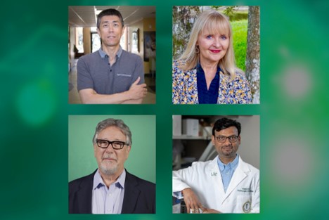 University of South Florida: A Preeminent Research University
