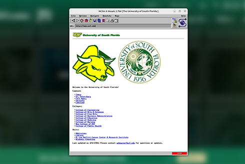 Original website look 