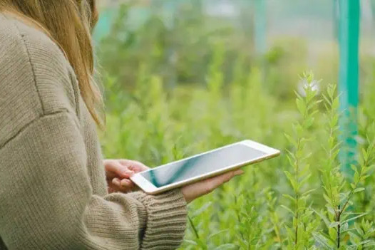 University of South Florida: A Preeminent Research University