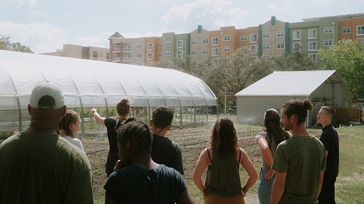 people facing greenhouse and apartments
