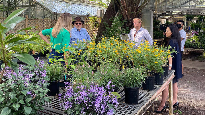 four people standing, talking in garden