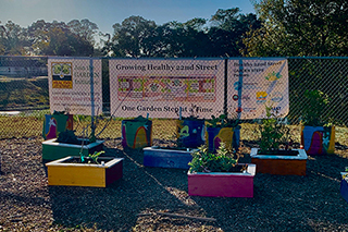 colorful garden beds on 22nd Street